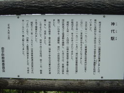 �_��w�̌o��